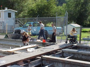 Halamid Aqua group work2