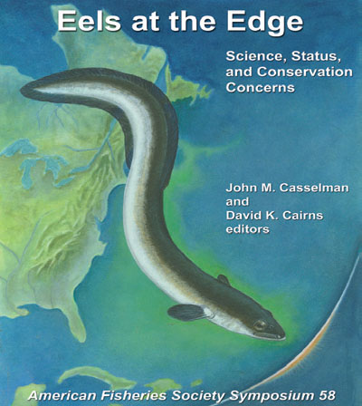 american eel migration