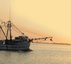 nc-commercial-fisheries-fisheries-magazine-article
