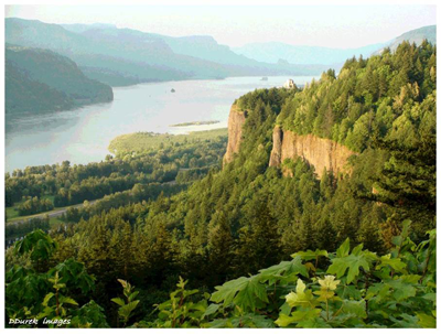 Columbia River Gorge near Portland, Oregon. Credit:  Bonneville Power Administration and Darwin Durek Images