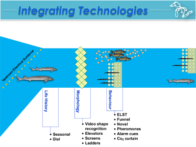 Integrating fish biology and guidance technologies to achieve selective fish passage. Credit: Andrew Muir 