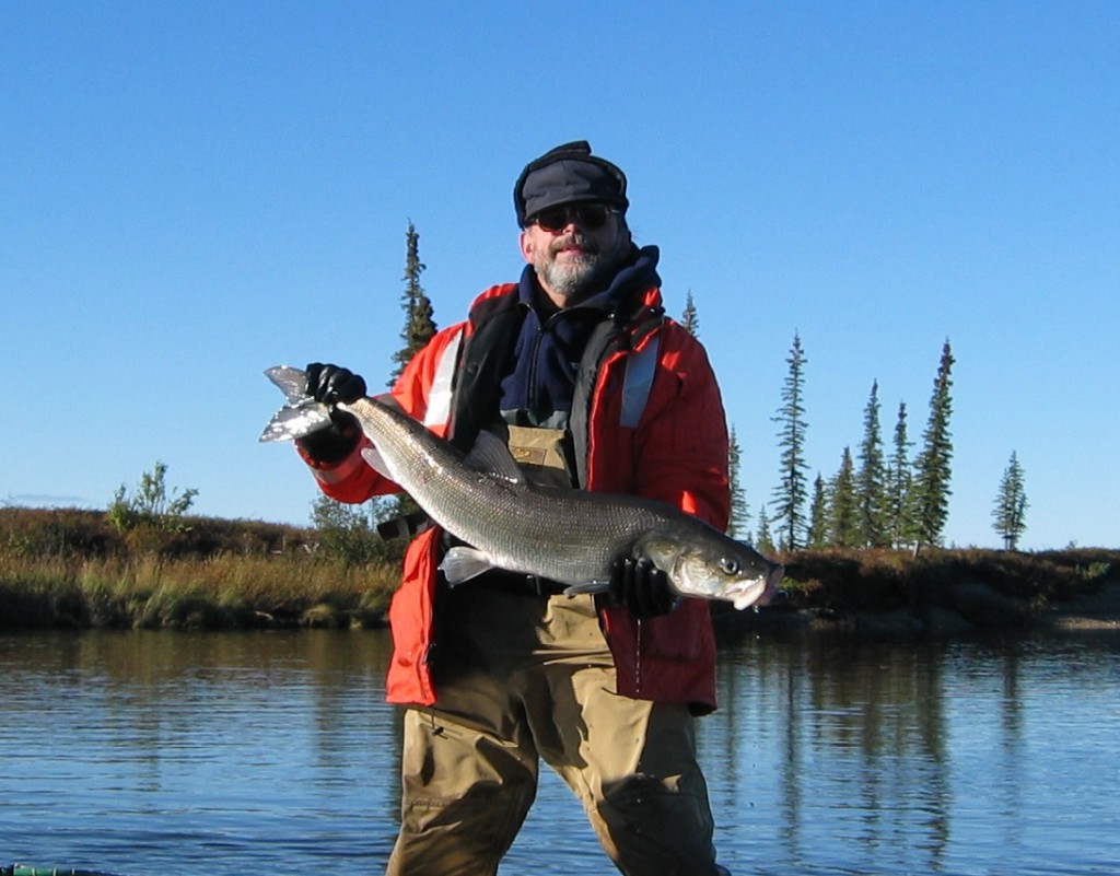 Joe Margraf with an Inconnu on Selewik River, September 2004. Photo credit: Mike Millard.