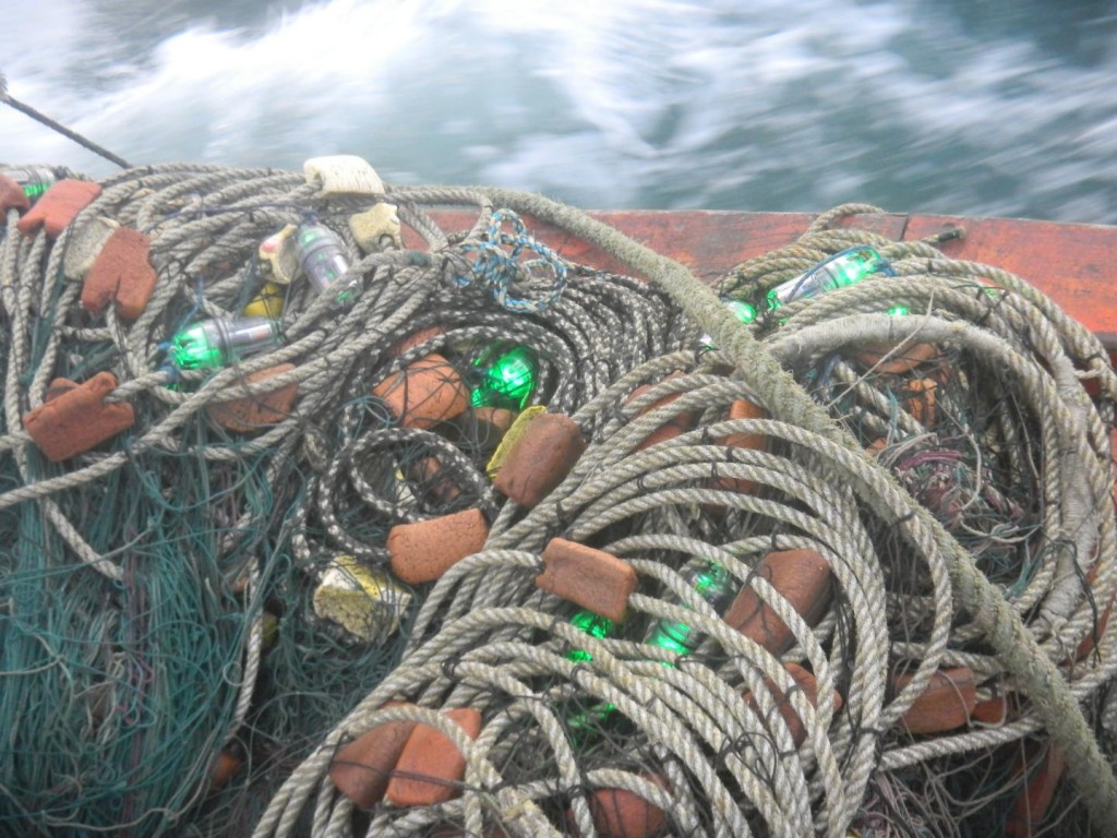 LED lights used at sea. Credit: University of Exeter
