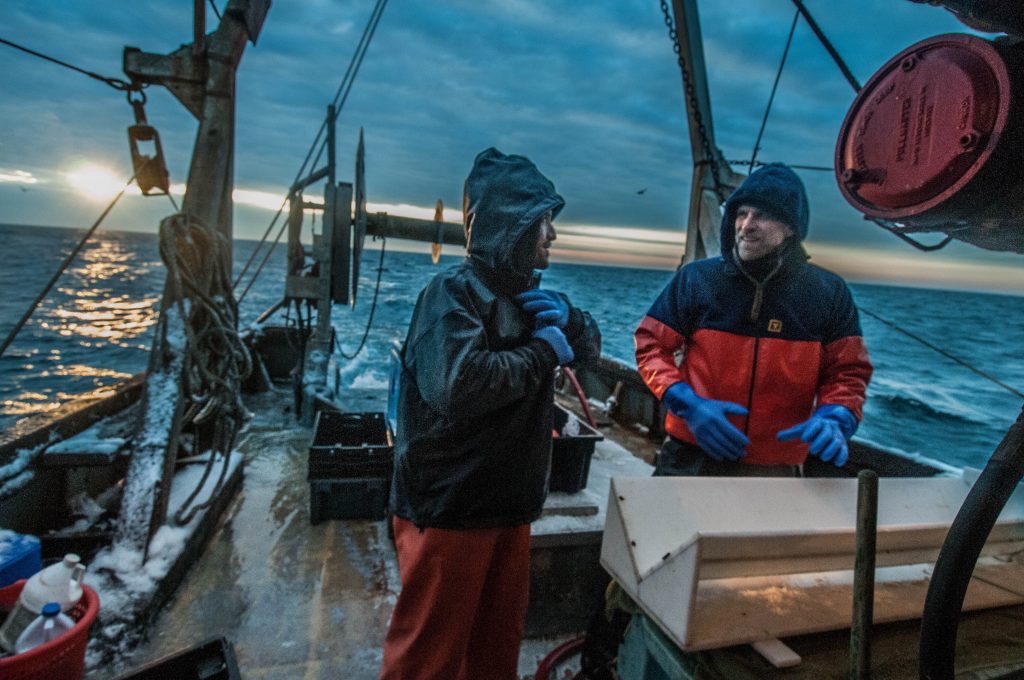 Collaborative is the new cooperative: Chris McGuire from The Nature Conservancy (right) and Jeff Kneebone from the Massachusetts Division of Marine Fisheries (left) working in collaboration with commercial fishermen to acoustically tag winter-spawning cod in the Gulf of Maine.