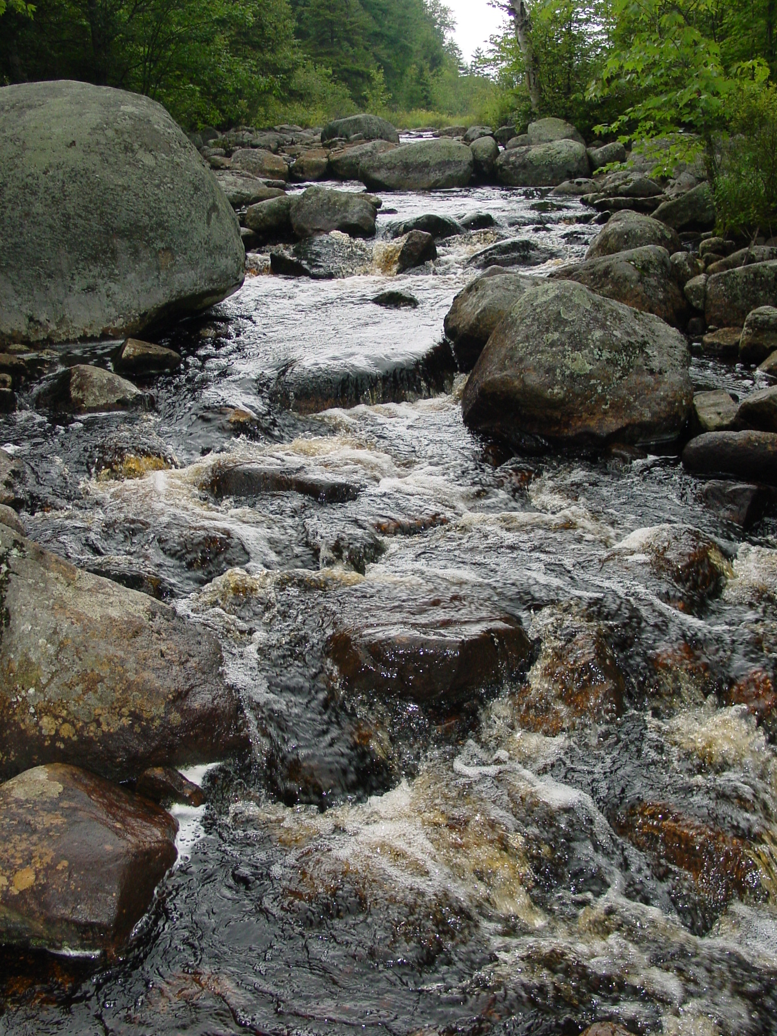 broot-trout-stream-by-barry-baldigo-usgs