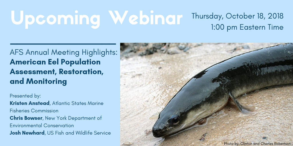 Recording: Annual Meeting Highlights: American Eel Population Assessment, Restoration, and Monitoring