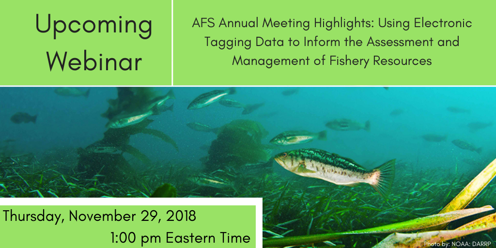 Webinar Recording: Annual Meeting Highlights – Using Electronic Tagging Data