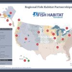 Map of NFHP partnerships.
