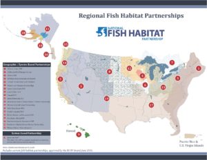 Map of NFHP partnerships.