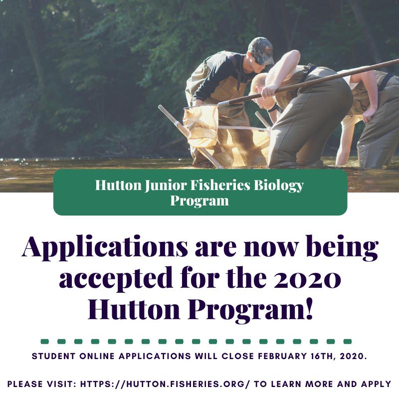 hutton applications open