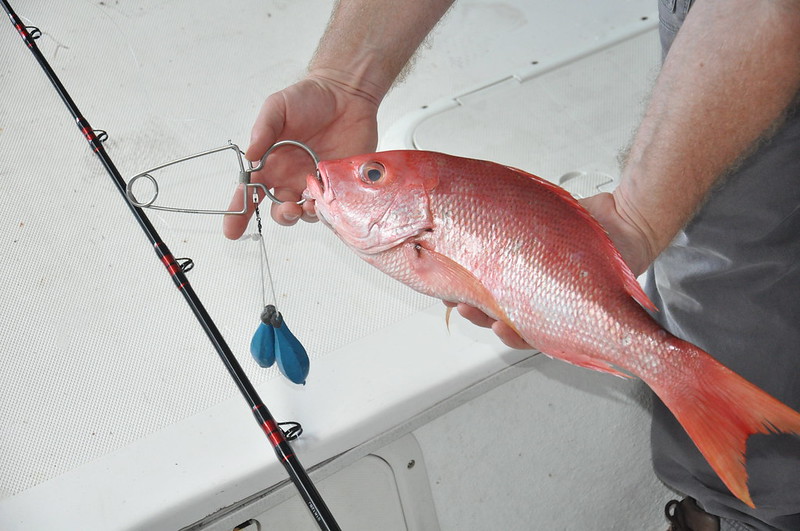 Example of a dehooking device. Photo by MyFWC