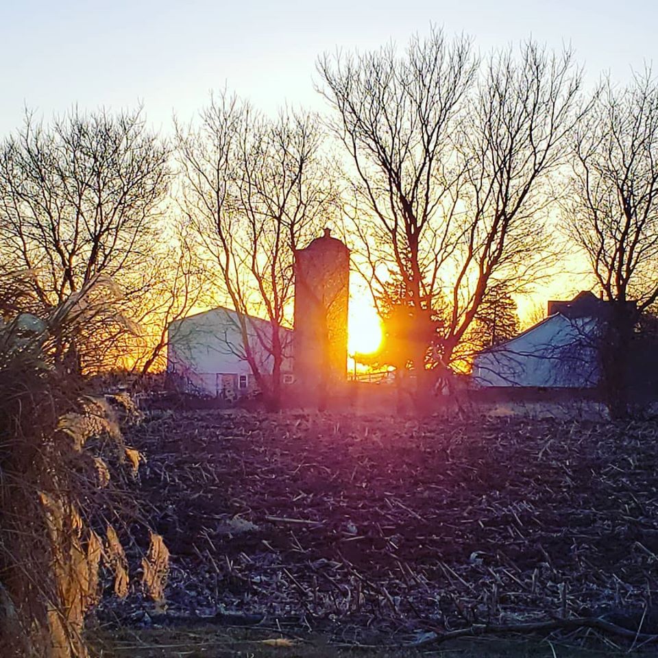 farm sunrise