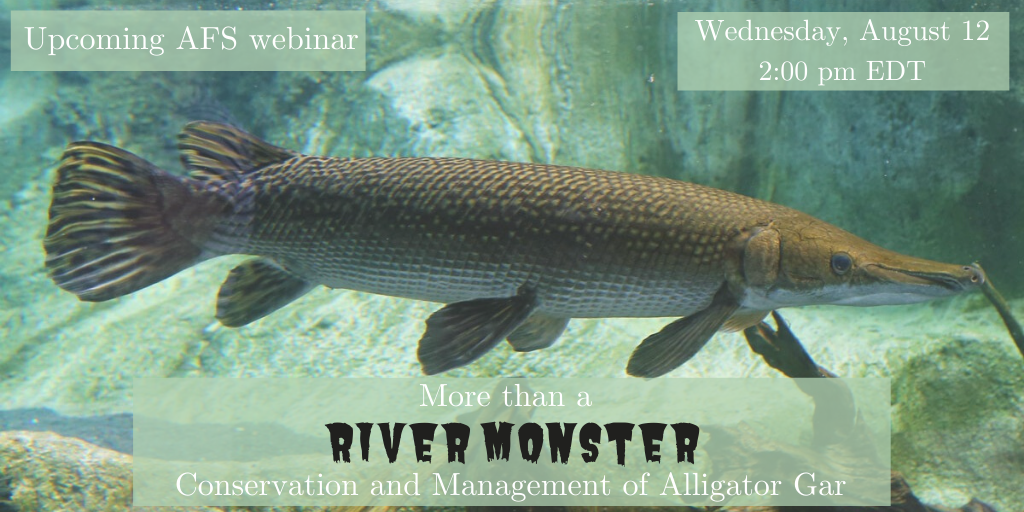 Recording: More than a River Monster: Conservation and Management of Alligator Gar
