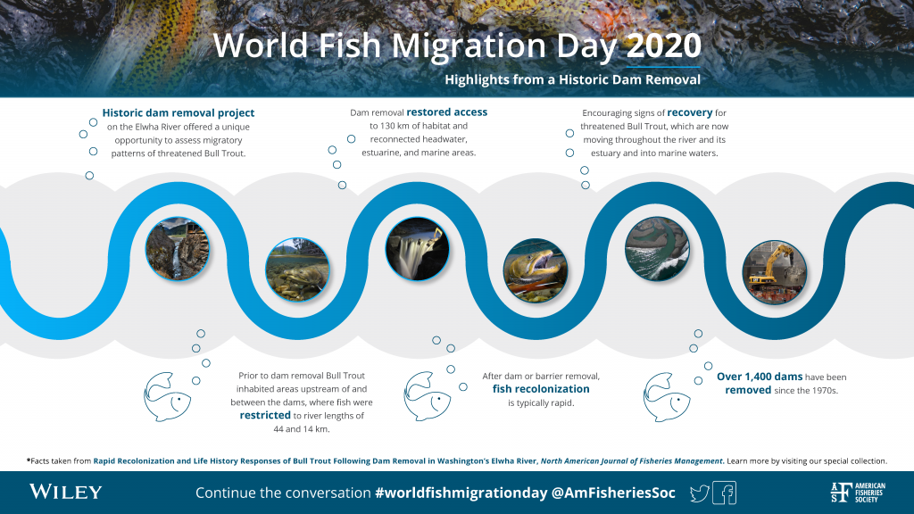 World Fish Migration Day Virtual Issue