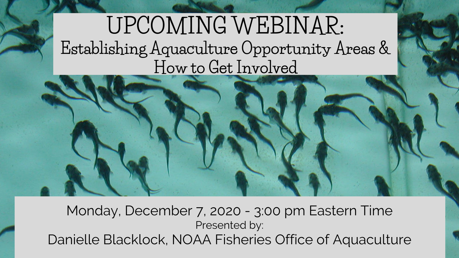 RECORDING: Webinar on Establishing Aquaculture Opportunity Areas and How to Get Involved