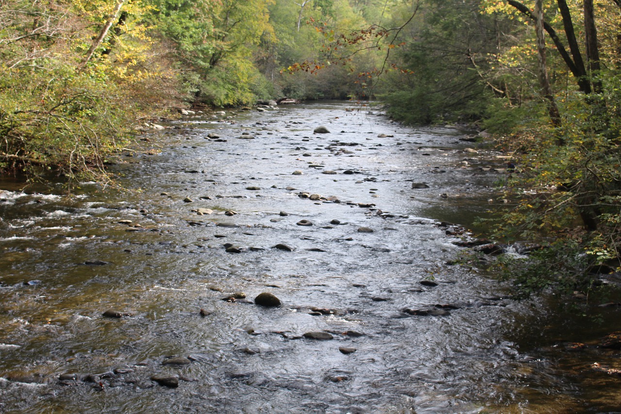 shallow-stream
