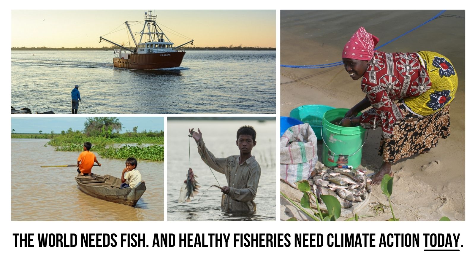 climate change and fisheries 1