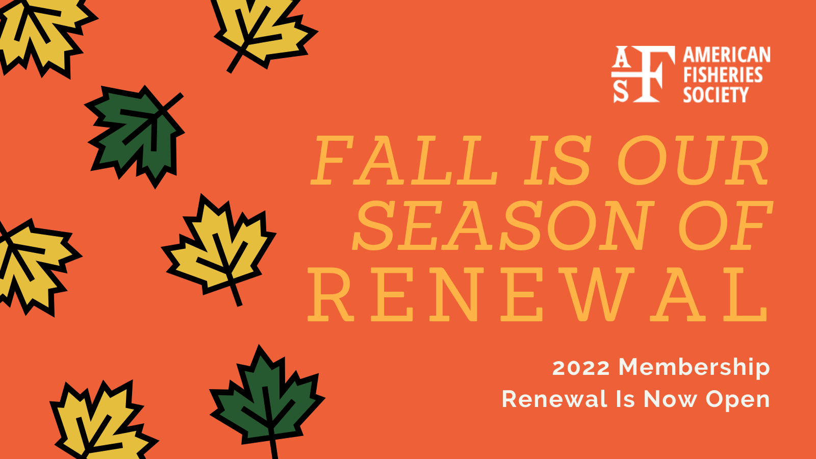 Fall is our season of renewal (2)
