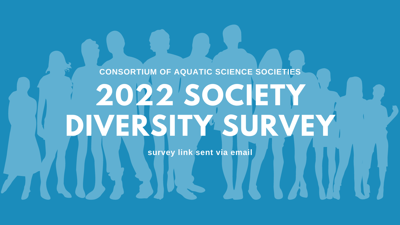 2022 CASS diversity survey
