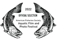 2022-film-festival