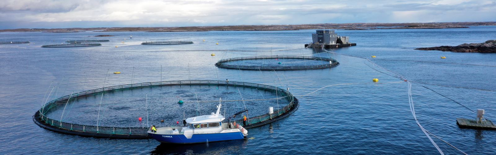 marine aquaculture net pens