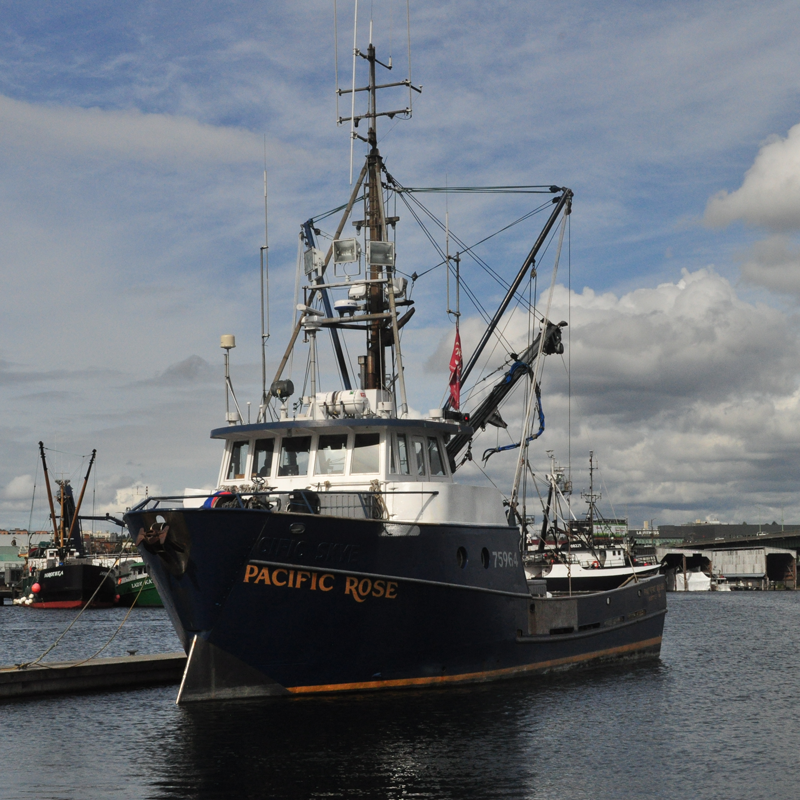 pacific-rose-fishing-boat-seattle-web