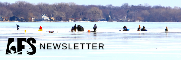 winter newsletter header (1)