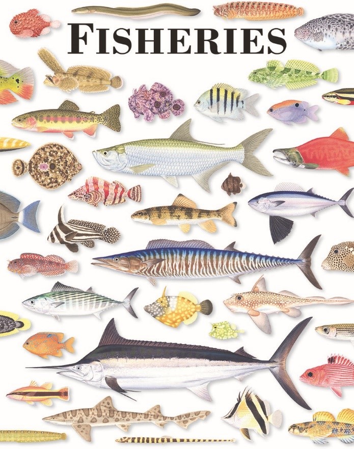 fisheries cover example