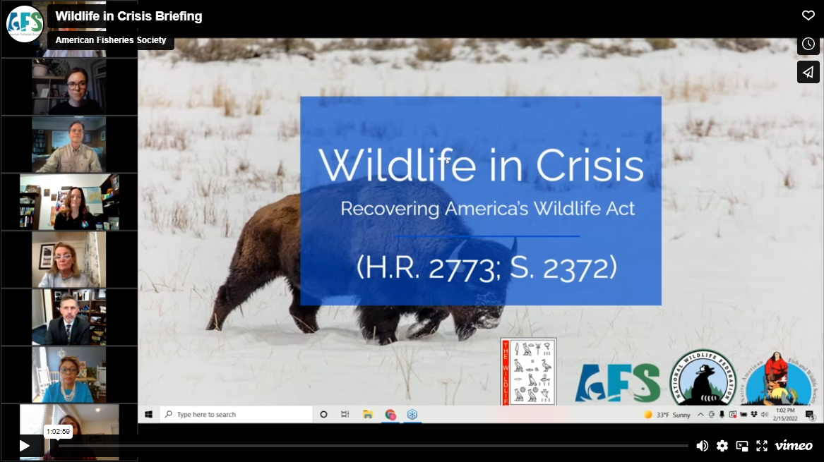 Wildlife in Crisis – Recovering America’s Wildlife Act