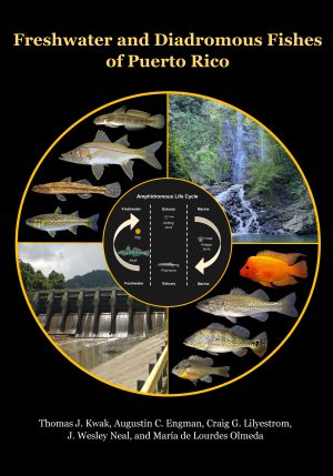Freshwater and Diadromous Fishes of Puerto Rico