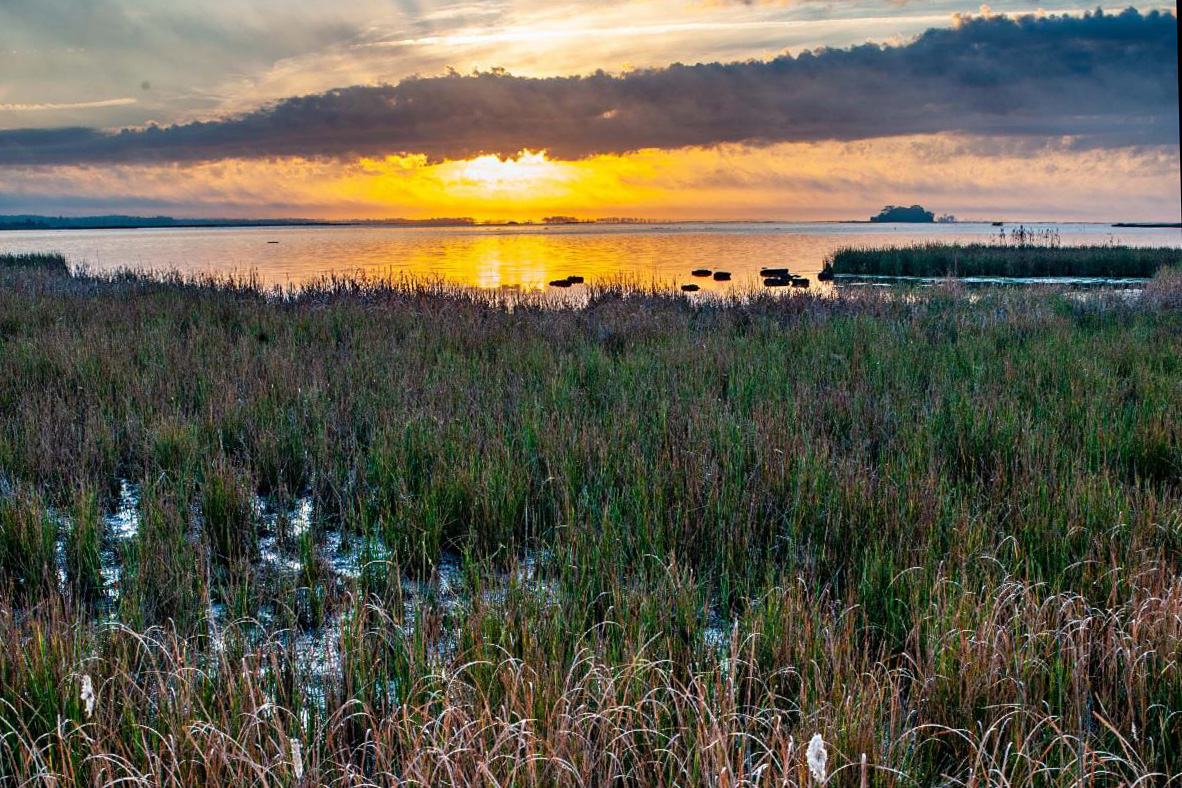 Blackwater National Wildlife Refuge. Credit: Peter Turcik.